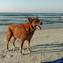 Negocio Cherry Grove Oceanfront Park