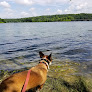 Negocio Codorus State Park