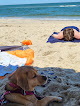 Negocio Coquina Beach