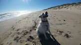 Negocio Corolla Beach