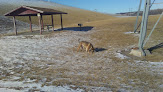 Negocio Cottonwood Recreation Area