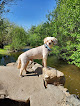 Negocio Coyote Creek State Park