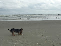 Negocio Crescent Beach