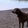 Negocio Crystal Lake Beach