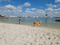 Negocio Davis Island Dog Beach