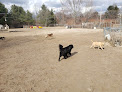Negocio Derry Dog Park