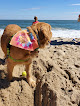 Negocio Dewey Beach