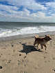 Negocio Dewey Beach