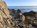 Negocio Diver's Cove, Laguna Beach, California, Usa.