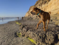 Negocio Dog Beach