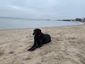 Negocio Dog Beach Parking