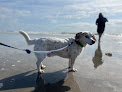 Negocio Dog Friendly Beach