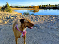 Negocio Dog Park At Crossroads