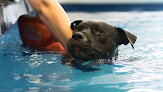 Negocio Doggie Paddles Llc