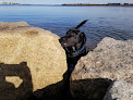 Negocio Dorchester Shores Reservation