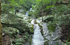 Negocio Douthat State Park