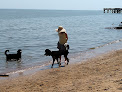 Negocio Downs Park Dog Beach