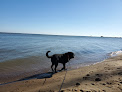 Negocio Downs Park Public Beach