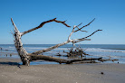 Negocio Driftwood Beach