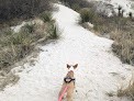 Negocio Dune Life Nature Trailhead