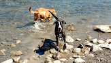 Negocio Durango Off Leash Dog Park