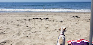 Negocio East Beach