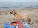 Negocio East Harbor State Park Dog Friendly Beach