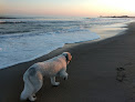 Negocio East Matunuck State Beach