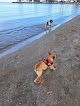Negocio Edgewater Park