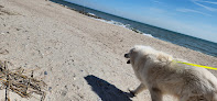 Negocio Edisto Beach