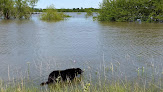 Negocio Eisenhower State Park