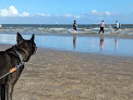 Negocio El Jardin Beach