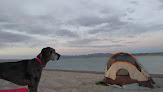 Negocio Elephant Butte Lake State Park