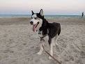 Negocio Emerald Isle Beach