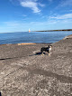 Negocio F.j. Mclain State Park
