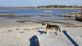 Negocio Ferry Beach, Scarborough, Me