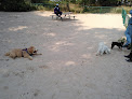 Negocio First Street Dog Park