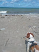 Negocio Fishermans Beach