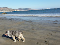 Negocio Fisherman's Beach