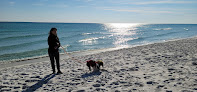 Negocio Florida Trail Pensacola Beach Dog Park Trailhead