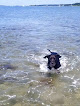 Negocio Fogland Beach
