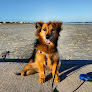 Negocio Folly Beach County Park