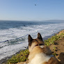 Negocio Fort Funston