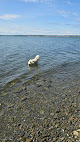 Negocio Fort Hale Dog Park