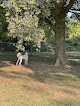 Negocio Fort Smith Dog Park