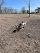Negocio Fort Thomas Dog Park