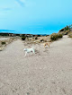 Negocio Frank S Ortiz Dog Park