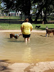 Negocio Fred Quinn Happy Tails Dog Park