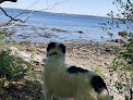 Negocio Friends Of Sears Island