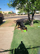 Negocio Friendship Dog Park